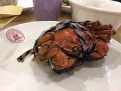 -上海财经大学-新食堂