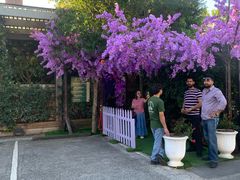 -The Grounds of Alexandria