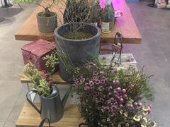 -花沐 FLOWER BATH(凤凰城店)