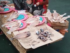 -西归浦每天偶来市场