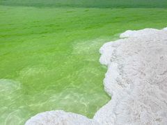 -察尔汗盐湖