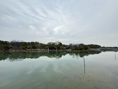 -八大山人梅湖景区