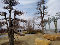 -南湖国家城市湿地公园