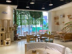 -藏猫猫咖啡主题馆(中央大道店)