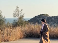 -汕尾风车岛