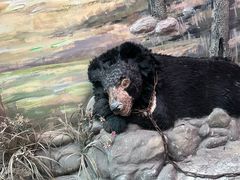 -北京动物园-畅观楼