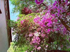 -深圳国际园林花卉博览园