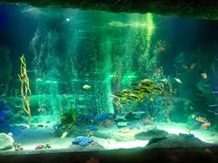 -沈阳海洋探索中心