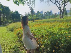 -眉山湿地公园(东坡区)