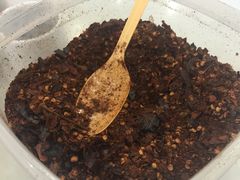 -花溪王记牛肉粉(四季花溪商场店)