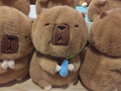 -万达广场(渭南高新店)