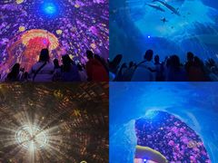 -海合安青岛极地海洋公园