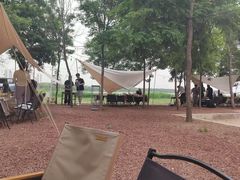 -天津东丽湖风景区