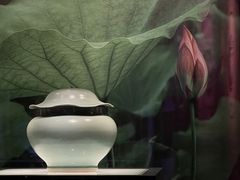 -四川宋瓷博物馆