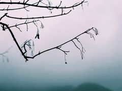 -龙井壹号·茶缘山景宴(龙井村店)