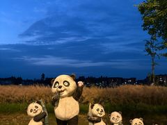 -桤木河湿地公园