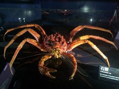 -同济大学四平路校区深海探索馆