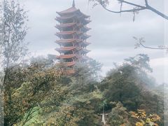 -缙云山景区