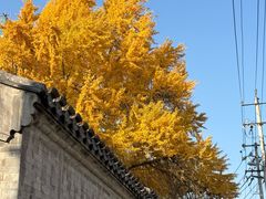 -北京国子监胡同