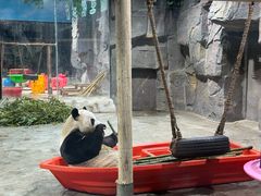 -栾川竹海野生动物园