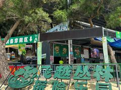 -芦仙山景区-飞越丛林探险乐园