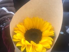 -亭亭鲜花店(中山北路店)