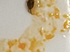 -JACK’S  PLACE 杰克地方(上海路店)