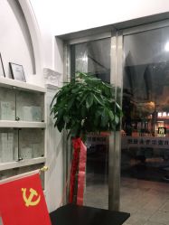 点击看大图 -SOR索尔祛痘·面部肌肤管理