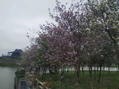 -海珠湖公园