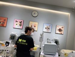 -洗脸猫·洗脸吧