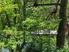 -庐山风景区花径公园