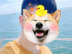 -三亚游船旅游中心(三亚鹿回头游艇游船公共码头店)