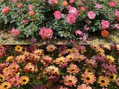 -人民公园(罗湖区)