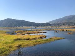 -腾冲北海湿地