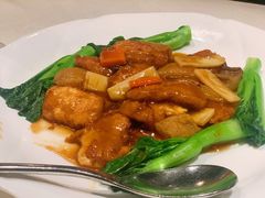 竹笙红烧豆腐-皇朝会.经典传统粤菜(外滩店)
