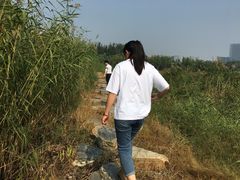 -大兴滨河森林公园