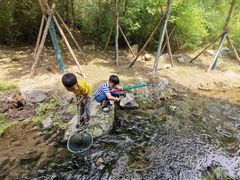-白水寺森林公园