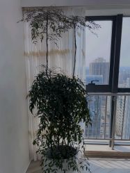 点击看大图 -HEYAN荷妍专业脱毛连锁机构
