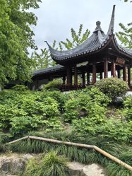 -BabyA 专业婴童摄影(古北时尚广场店)