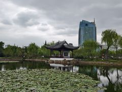 -无锡蠡湖国家湿地公园-蠡园
