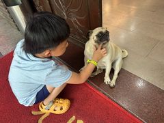 -临江宴餐厅·野生鱼·山里菜(富春江店)
