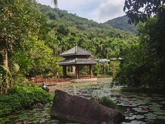 -亚龙湾热带天堂森林公园