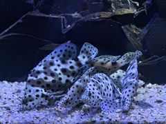 -海合安天津极地海洋公园