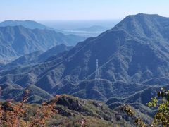 -大岭沟猕猴桃谷风景区
