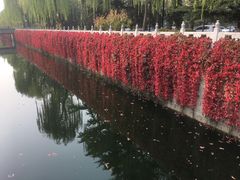-清华大学-清芬园