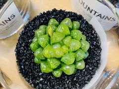 -双季花艺园艺市场(浦东店)