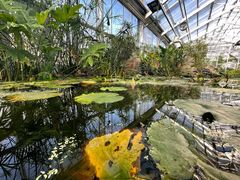 -国家植物园南园