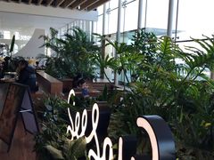 -Seesaw Coffee(朝阳大悦城店)