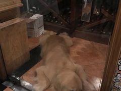 -火车头法国西餐厅