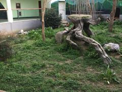 -南昌动物园